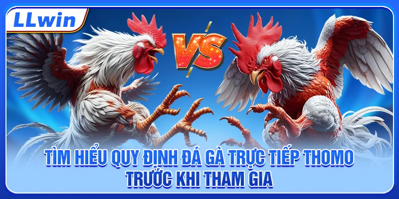 Tìm hiểu quy định đá gà trực tiếp Thomo trước khi tham gia