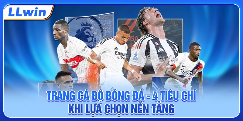 Trang Cá Độ Bóng Đá - 4 Tiêu Chí Khi Lựa Chọn Nền Tảng